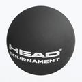 HEAD Tournament Squash Labda fekete 2