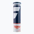 Teniszlabda készlet 4 db. BABOLAT Team Clay 4 sárga 502080 2