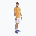 Férfi póló Babolat Exercise Big Flag autumn glory 2