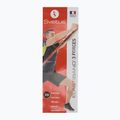Plakát Sveltus Elastiband 3 Strengths colorfull