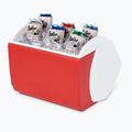 Hordozható hűtőszekrény Igloo Playmate Pal 6 l red star 11