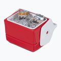 Igloo Playmate Mini 3 l piros csillag turista hűtőszekrény 7