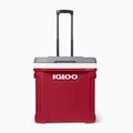 Igloo Latitude 60 Roller 56 l ipari piros/ meteorit túra hűtőszekrény 9