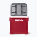 Igloo Latitude 60 Roller 56 l ipari piros/ meteorit túra hűtőszekrény 11