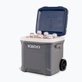 Igloo Maxcold Latitude 62 Qt Roller 59 l karbonit / égei-tengeri túra hűtőszekrény 16