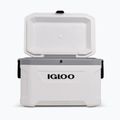 Igloo Latitude Marine Ultra 54 51 l fehér/holdszürke túrahűtőszekrény 4