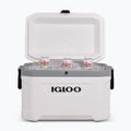 Igloo Latitude Marine Ultra 54 51 l fehér/holdszürke túrahűtőszekrény 10