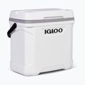 Igloo Latitude Marine Ultra 30 28 l fehér/holdszürke túra hűtőszekrény 2