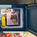 Dometic CFX2 37 l-es tengeri utazó hűtőszekrény 9