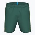 Férfi arena Fundamentals Arena Logo Boxer R artic lime/mangrove fürdőruházat rövidnadrág 3