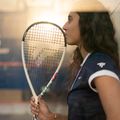Tecnifibre Carboflex 135 X-Top fallabda ütő fehér 12CAR135XT 10