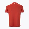 Férfi teniszpóló Tecnifibre Team Tech terracotta 5