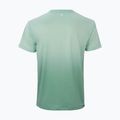 Férfi teniszpóló Tecnifibre Team X-Loop sage 6