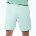 Férfi teniszshort Tecnifibre Team Stretch Short sage 2