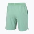 Férfi teniszshort Tecnifibre Team Stretch Short sage 4