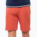 Férfi teniszshort Tecnifibre Team Stretch Short terracotta 2