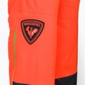 Férfi sínadrág Rossignol Hero Ski neon red 12