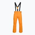 Férfi sínadrág Rossignol Ski sunburst 8