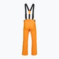 Férfi sínadrág Rossignol Ski sunburst 9