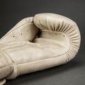 Bokszkesztyűk Venum Impact Classic Boxing ivory 3