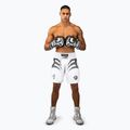 Férfi edzőshort Venum x Mike Tyson Tiger optical white/deep black 2