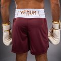Férfi edzőshort Venum Classic Boxing burgundy 6