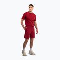 Férfi edző rövidnadrág Venum Giant 3D Cotton red 2