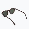 Női napszemüveg ROXY Moanna 2021 shiny tortoise/green 2