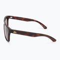 Férfi napszemüveg Quiksilver Ferris brown tortoise brown 4