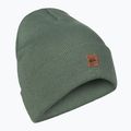 Férfi Quiksilver Brigade Beanie babérkoszorús snowboard sapka 6