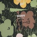 Női snowboard DC AW Biddy Biddy virágzáskor 4