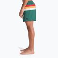Férfi fürdőnadrág Quiksilver Everyday Printed Volley 15" forest outside stripe 6