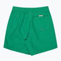 Gyerek fürdőnadrágok Quiksilver Everyday Volley 14" leprechaun 2