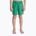 Gyerek fürdőnadrágok Quiksilver Everyday Volley 14" leprechaun 3