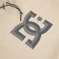 Férfi pulóver DC Snowstar oatmeal 10
