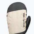 Férfi snowboardkesztyűk DC Franchise Mitt 10K oatmeal 3