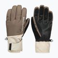 Női snowboardkesztyűk DC Franchise Glove W 10K morel