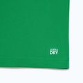 Teniszpóló Lacoste Polo DH2568 fluorine green/sinople 9