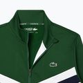 Férfi pulóver Lacoste SH2646 green / white / navy blue 6