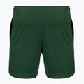 Férfi tenisz rövidnadrágok Lacoste GH0138 green 2