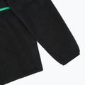Női sí polár pulóver Picture Arcca 1/4 Zip black 10