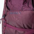 Blue Ice Warthog Pack 40L trekking hátizsák bordó 100326 7