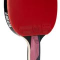 Asztalitenisz ütő Butterfly Timo Boll Ruby 3