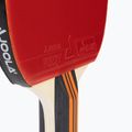 Asztaltenisz szet JOOLA Family Advanced Set 8