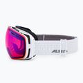 Síszemüveg Alpina Granby Q-Lite white gloss/blue sph 4