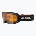Síszemüveg Alpina Nakiska black/rose matt/orange 6