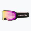 Síszemüveg Alpina Nakiska Q-Lite black/rose matt/pink 6
