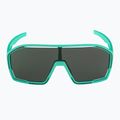 Napszemüveg Alpina Bonfire turquoise matt/green 2