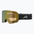 Síszemüveg Alpina Penken Q-Lite willow/ green matt/ gold 5