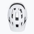 Kerékpáros sisak Alpina Taunus füstszürke matt 6